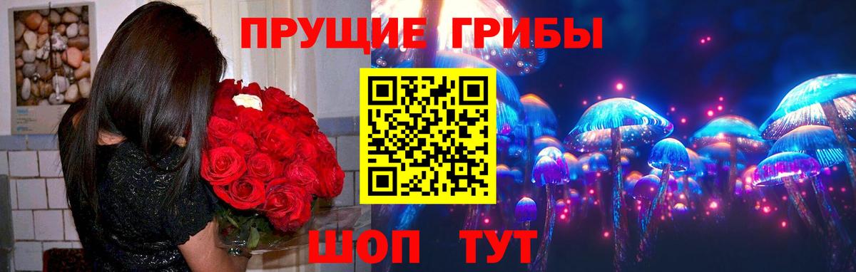 даркнет сайт  Галлюциногенные грибы ЛСД  Вход с VPN  Славянск-на-Кубани 